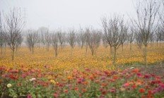 明天又是美好的一天