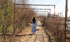 你的那个她教会了你什么？