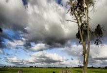 抖音生活服务商家违规行为管理规则