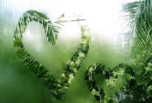 抖音生活服务商家违规行为管理规则