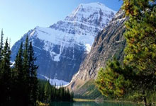 2025年抖音直播违禁词大全分享