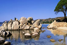 2025年抖音直播违禁词大全分享