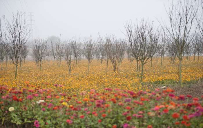 明天又是美好的一天