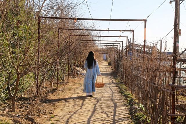 你的那个她教会了你什么?